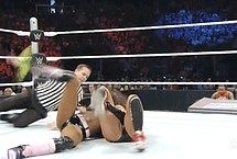 Nikki Bella and Brie Bella Nude