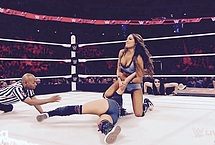 Nikki Bella and Brie Bella Nude