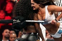 Nikki Bella and Brie Bella Nude