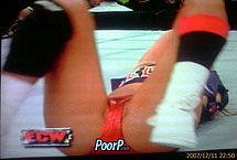 Nikki Bella and Brie Bella Nude