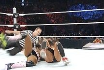 Nikki Bella and Brie Bella Nude