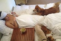 Alyson and Amanda Michalka Nude