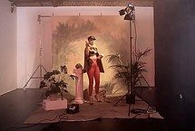 Suki Waterhouse Nude