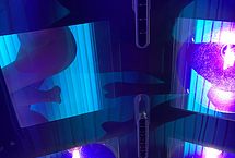 Dylan Penn Nude Leak