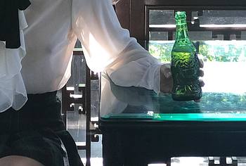 Christa B. Allen Nude