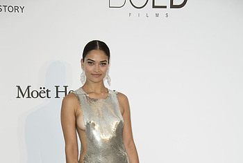 Shanina Shaik Nude