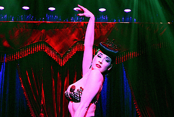 Dita Von Teese Nude
