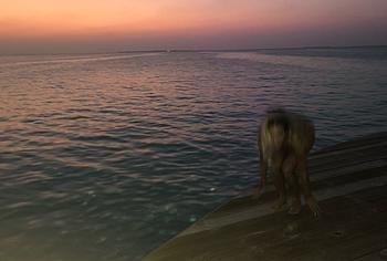 Rita Ora nude leaked thefappening celebs