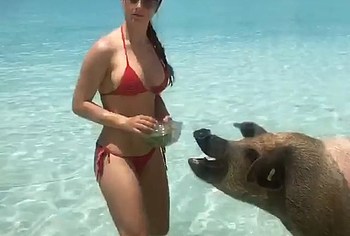 Amanda Cerny nude