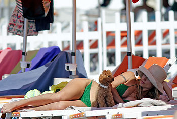 Michelle Hunziker nude