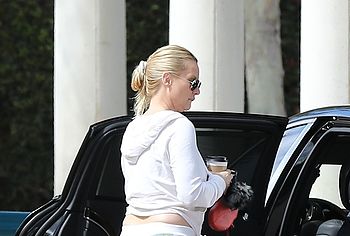 Nicollette Sheridan nude