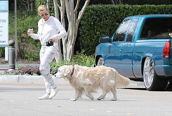 Nicollette Sheridan nude