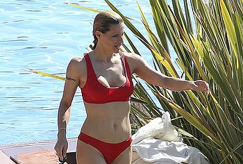 Michelle Hunziker nude