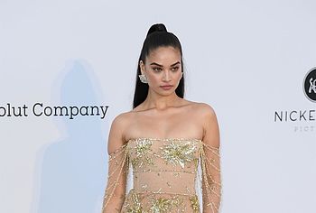 Shanina Shaik nude