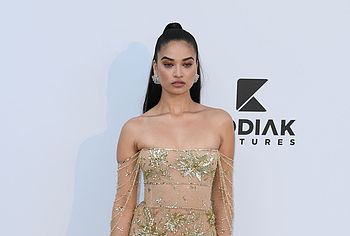 Shanina Shaik nude