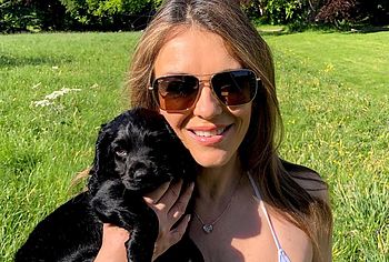 Elizabeth Hurley nude