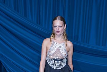 Hanne Gaby Odiele nude