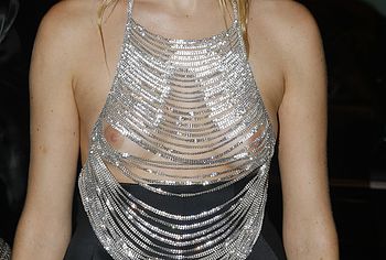 Hanne Gaby Odiele nude