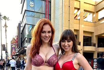 maitland ward lingerie