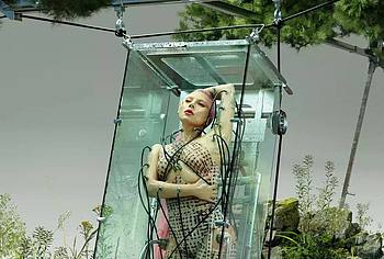 lady gaga sex