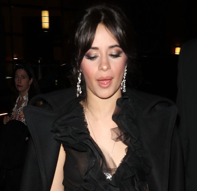 Camila Cabello pussy sex