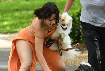Camila Cabello upskirt