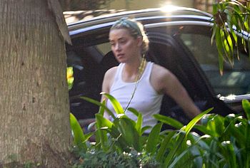 Amber Heard topless