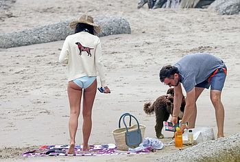 Jordana Brewster ass on beach