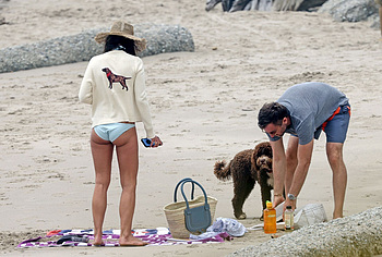 Jordana Brewster bikini booty