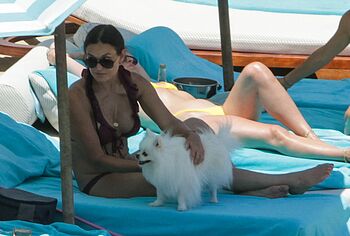 Demi Moore paparazzi