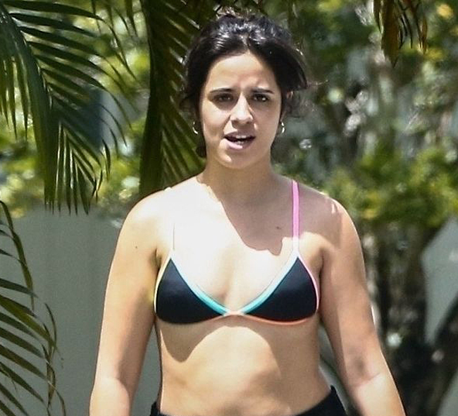 Camila Cabello nipslips