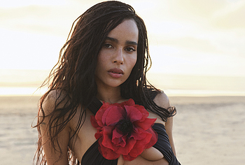 Zoe Kravitz nude