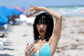 Bai Ling nipslips