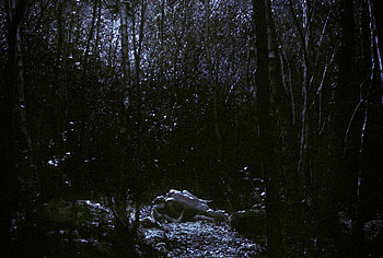 Anya Taylor-Joy porn