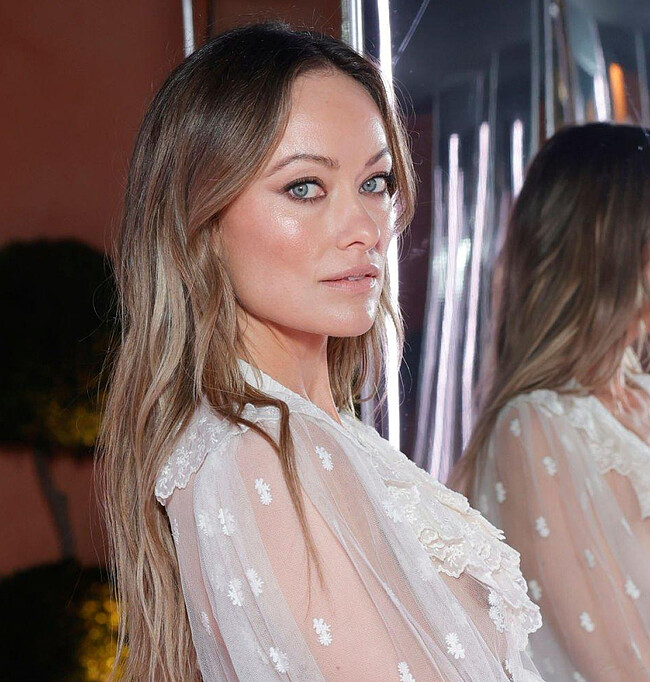Olivia Wilde lingerie