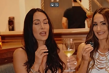 Brie Bella oops and sexy pics