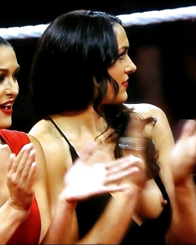 Brie Bella oops and sexy pics