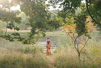 T'Nia Miller Naked in The Diplomat